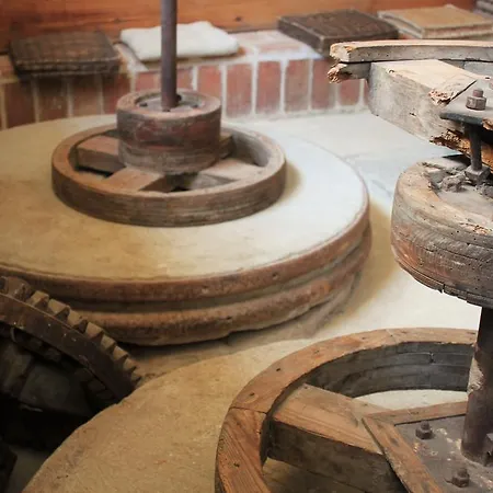 Moli El Canyisset Valencia